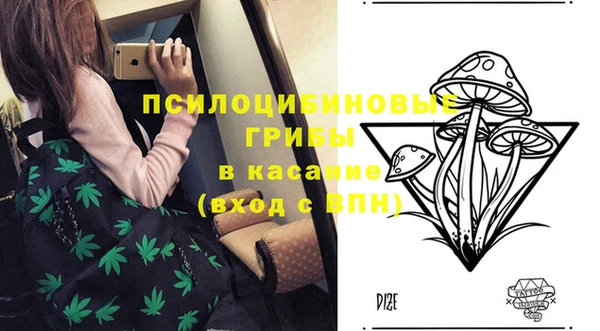 дживик Беломорск