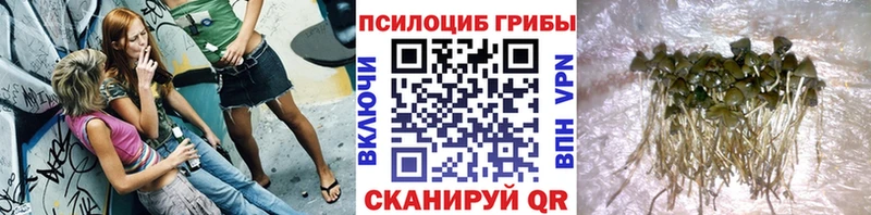 Галлюциногенные грибы Magic Shrooms  как найти закладки  Никольск 